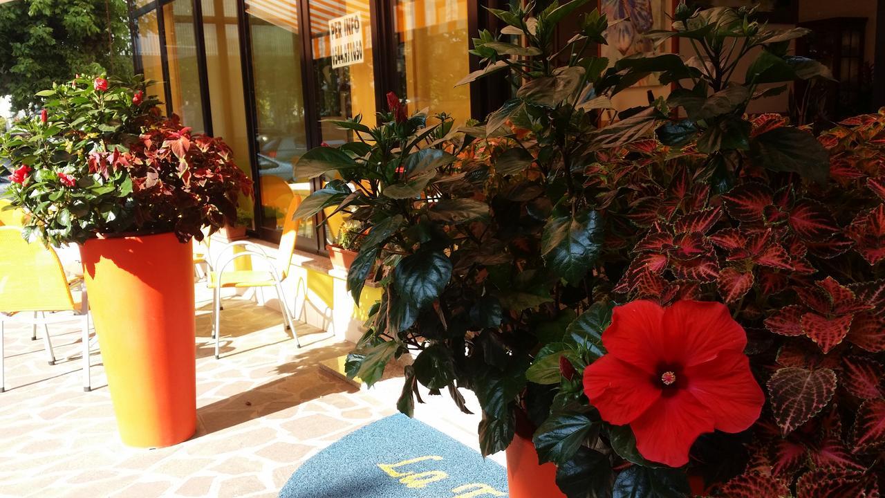 Hotel La Falena Cervia Exteriér fotografie